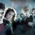 harry and ron and hermione نیم‌رخ