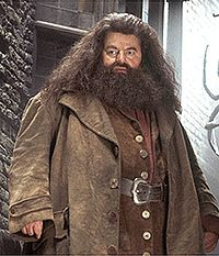 Hagrid نیم‌رخ